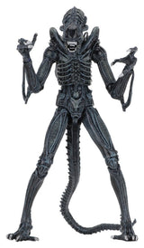 NECA Aliens Ultimate Actionfigur Warrior (1986) Blue 23 cm