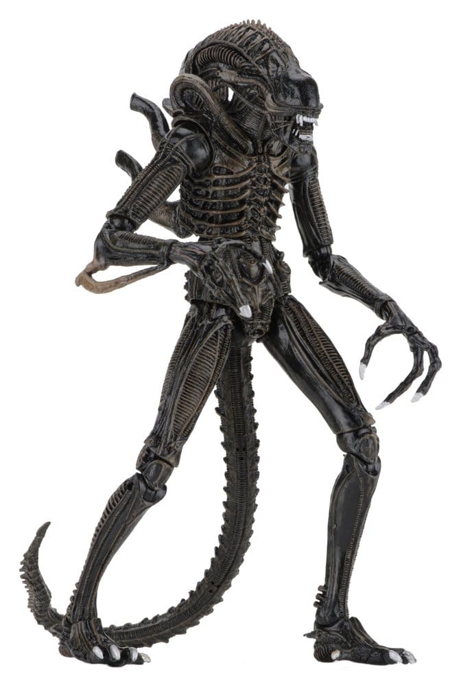 NECA Aliens Ultimate Actionfigur Warrior (1986) Brown 23 cm