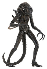 NECA Aliens Ultimate Actionfigur Warrior (1986) Brown 23 cm