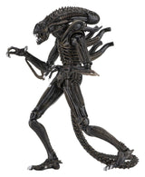 NECA Aliens Ultimate Actionfigur Warrior (1986) Brown 23 cm