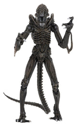 NECA Aliens Ultimate Actionfigur Warrior (1986) Brown 23 cm