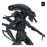 NECA Aliens Ultimate Actionfigur Warrior (1986) Xenomorph Black (40th Anniversary) 23 cm