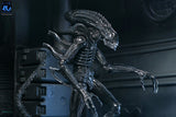 NECA Aliens Ultimate Actionfigur Warrior (1986) Xenomorph Black (40th Anniversary) 23 cm
