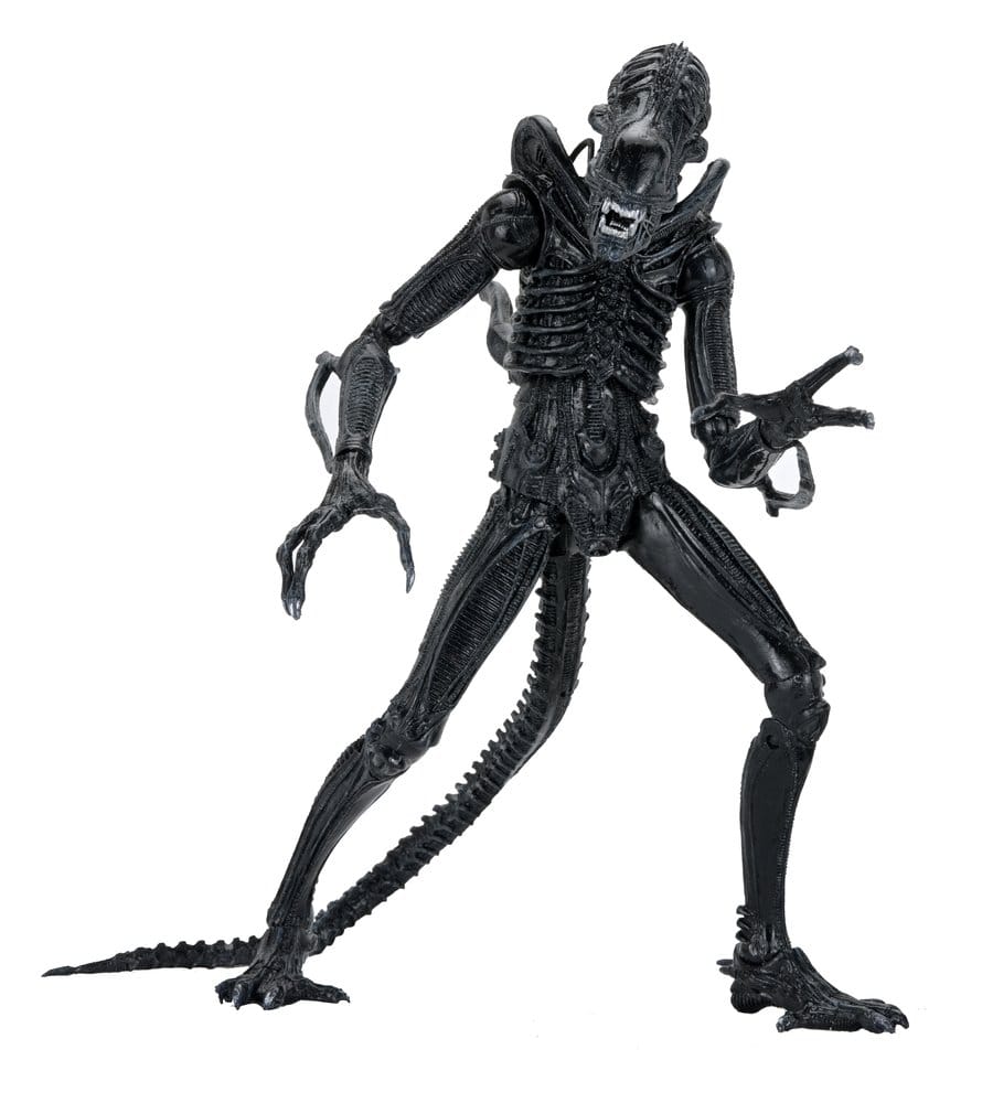 NECA Aliens Ultimate Actionfigur Warrior (1986) Xenomorph Black (40th Anniversary) 23 cm