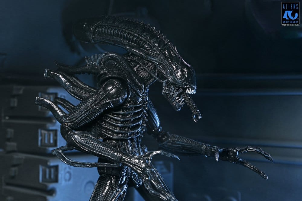 NECA Aliens Ultimate Actionfigur Warrior (1986) Xenomorph Black (40th Anniversary) 23 cm