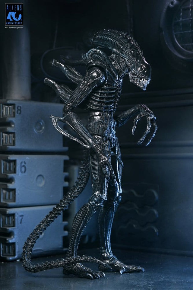 NECA Aliens Ultimate Actionfigur Warrior (1986) Xenomorph Black (40th Anniversary) 23 cm
