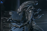 NECA Aliens Ultimate Actionfigur Warrior (1986) Xenomorph Black (40th Anniversary) 23 cm