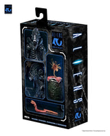 NECA Aliens Ultimate Actionfigur Warrior (1986) Xenomorph Black (40th Anniversary) 23 cm