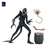 NECA Aliens Ultimate Actionfigur Warrior (1986) Xenomorph Black (40th Anniversary) 23 cm