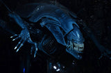 NECA Aliens Xenomorph Alien Queen Ultra Deluxe Actionfigur