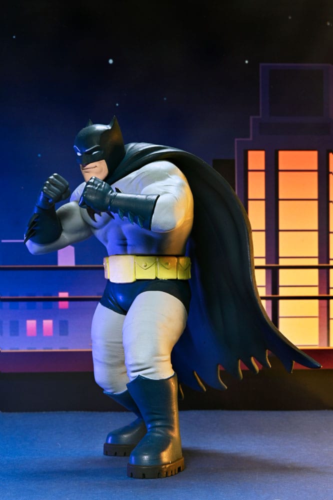 NECA DC Comics Actionfiguren Series 2 15 cm Sortiment (12)