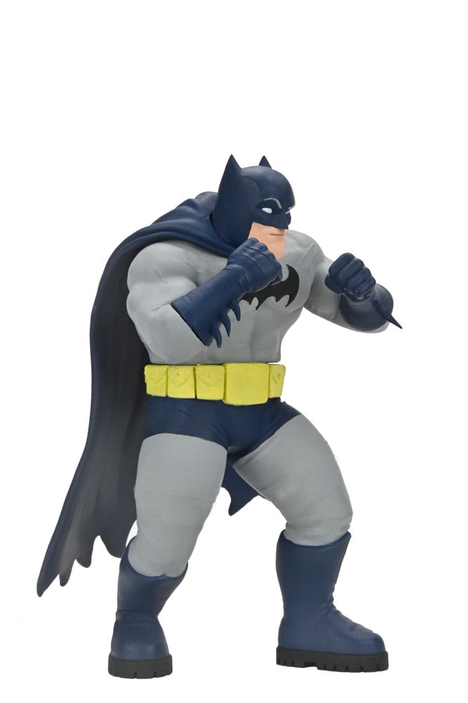 NECA DC Comics Actionfiguren Series 2 15 cm Sortiment (12)