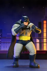 NECA DC Comics Actionfiguren Series 2 15 cm Sortiment (12)