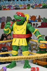 NECA Teenage Mutant Ninja Turtles (Archie Comics) Actionfiguren 4er-Pack Stump Wrestling Turtles 18 cm