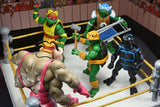 NECA Teenage Mutant Ninja Turtles (Archie Comics) Stump Wrestling Turtles 4er-Pack Actionfigur