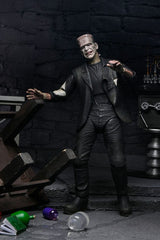 NECA Universal Monsters Bride of Frankenstein The Monster & His Mate 90th Anniversary Actionfiguren