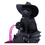 Nemesis Now Cult Cuties Curious Cauldron Figur - Beschädigte Verpackung