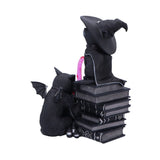 Nemesis Now Cult Cuties Curious Cauldron Figur - Beschädigte Verpackung