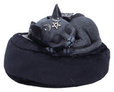 Nemesis Now Cult Cuties Figur Malpuss Dreams 9 cm