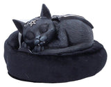 Nemesis Now Cult Cuties Figur Malpuss Dreams 9 cm