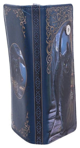 Nemesis Now Lisa Parker Geldbörse A Brush With Magick Embossed 19 cm