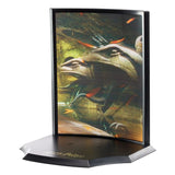 Noble Collection Harry Potter Fawkes to the Rescue Toyllectible Treasure Statue