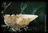 Noble Collection Harry Potter Kristall-Kelch Replik