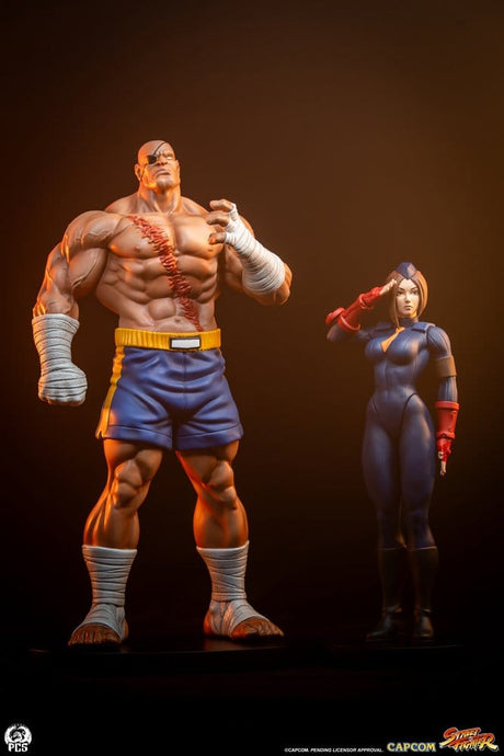 Premium Collectibles Studio Street Fighter Sagat & Juli Street Jam 1/10 Statuen