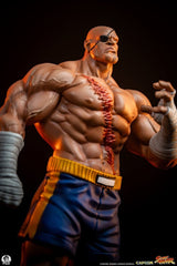 Premium Collectibles Studio Street Fighter Sagat & Juli Street Jam 1/10 Statuen
