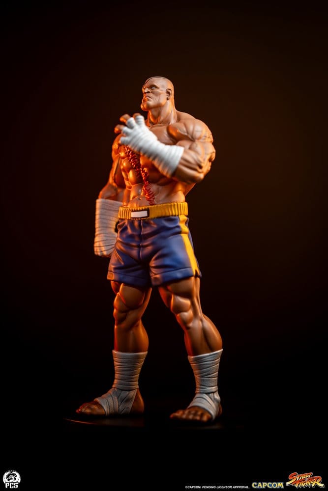 Premium Collectibles Studio Street Fighter Sagat & Juli Street Jam 1/10 Statuen