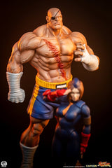 Premium Collectibles Studio Street Fighter Sagat & Juli Street Jam 1/10 Statuen