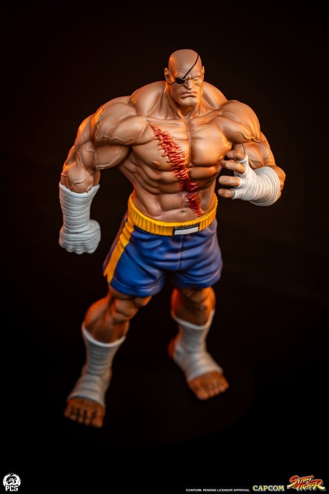 Premium Collectibles Studio Street Fighter Sagat & Juli Street Jam 1/10 Statuen