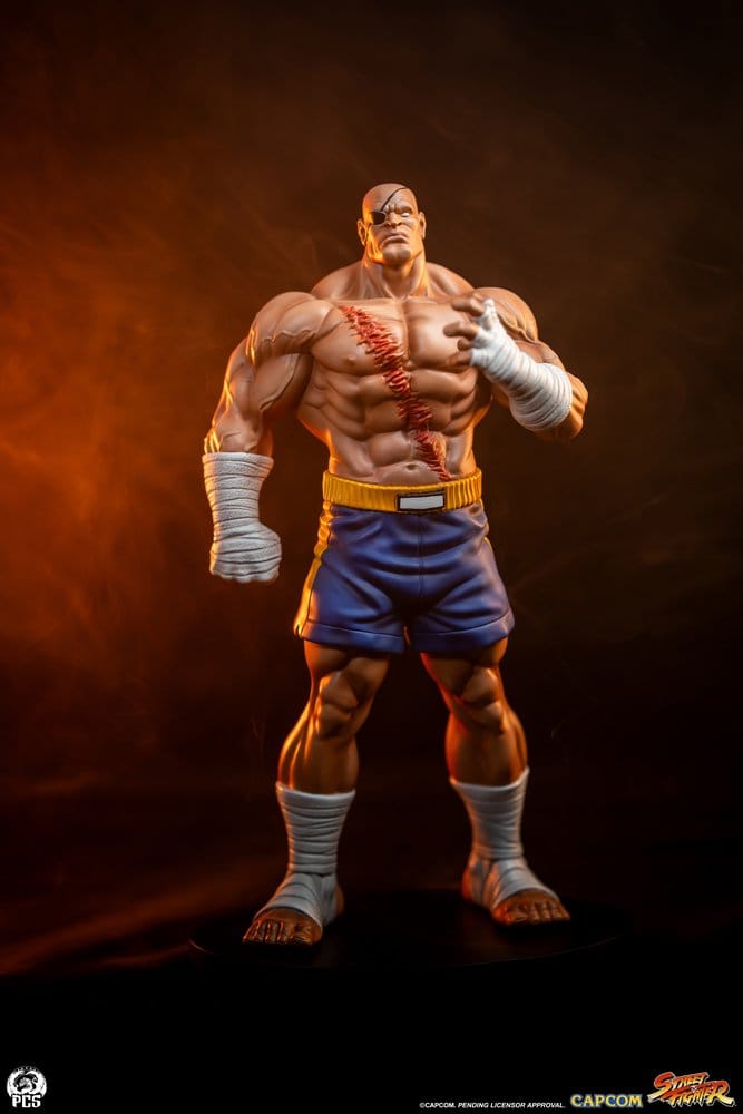 Premium Collectibles Studio Street Fighter Sagat & Juli Street Jam 1/10 Statuen