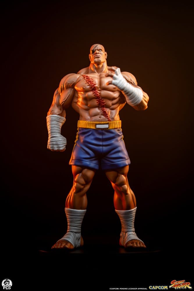 Premium Collectibles Studio Street Fighter Sagat & Juli Street Jam 1/10 Statuen