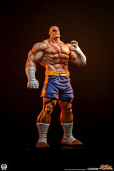 Premium Collectibles Studio Street Fighter Sagat & Juli Street Jam 1/10 Statuen