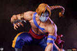 Premium Collectibles Studio Street Fighter Street Jam Ken & Vega 1/10 Statuen