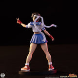 Premium Collectibles Studio Street Fighter Street Jam Sakura & Sodom 1/10 Statuen