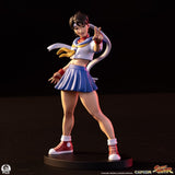 Premium Collectibles Studio Street Fighter Street Jam Sakura & Sodom 1/10 Statuen