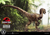 Prime 1 Studio Jurassic Park Velociraptor Open Mouth 1/10 Statue