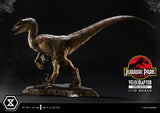 Prime 1 Studio Jurassic Park Velociraptor Open Mouth 1/10 Statue