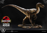 Prime 1 Studio Jurassic Park Velociraptor Open Mouth 1/10 Statue
