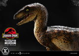 Prime 1 Studio Jurassic Park Velociraptor Open Mouth 1/10 Statue