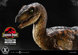 Prime 1 Studio Jurassic Park Velociraptor Open Mouth 1/10 Statue