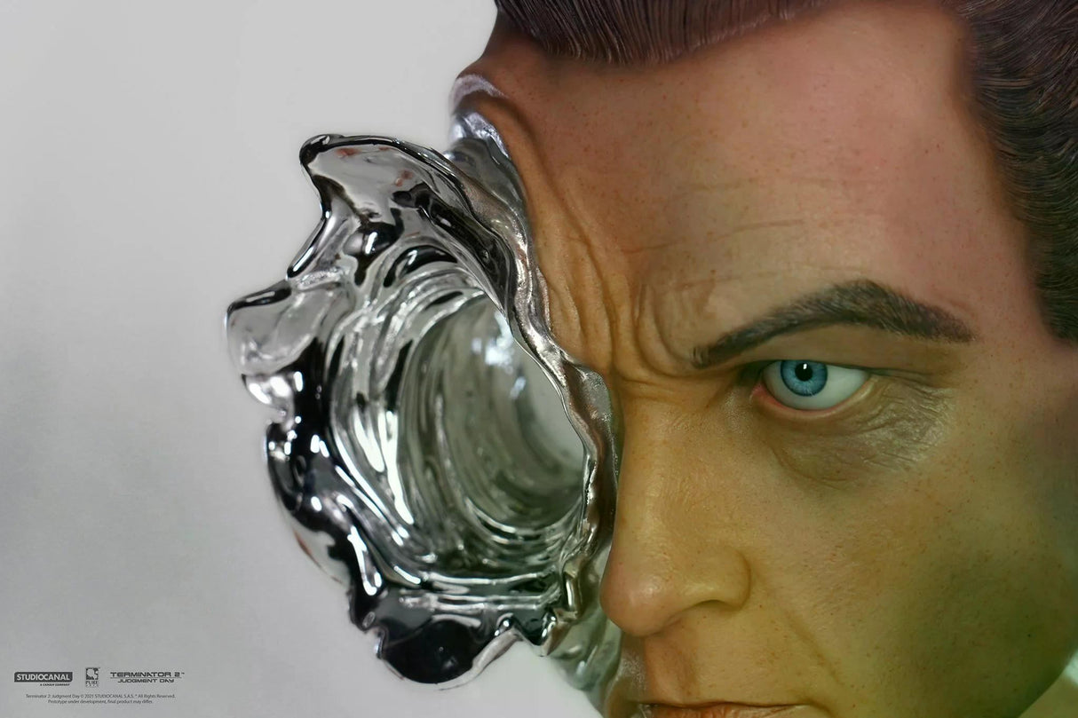 Pure Arts Terminator 2 T-1000 Painted DELUXE 1/1 Art Mask - Beschädigte Verpackung