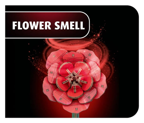 Revell Revell Flowers Dream of Roses Holzblumen