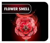 Revell Revell Flowers Holzblumen Dream of Roses 22 cm