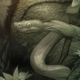 Sideshow Collectibles Creature from the Black Lagoon Kunstdruck