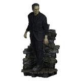 Sideshow Collectibles Frankenstein (Fabric Costume) Premium Format Mixed Media Statue