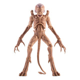 Syndicate Collectibles Pumpkinhead Das Halloween Monster Actionfigur