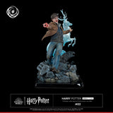 Tsume Harry Potter IKIGAI 1/6 Figur